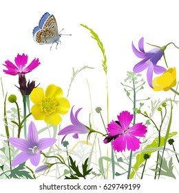Meadow in bloom - Background.
Hand drawn vector illustration of  blue butterfly and wildflowers in brilliant colors: buttercup, pink, bell flower and various herbs and grasses, on white background.
