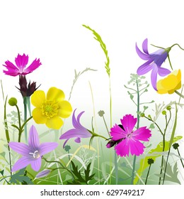 Meadow in bloom - Background.
Hand drawn vector illustration of wildflowers in brilliant colors: buttercup, pink, bell flower and various herbs and grasses, on white background.