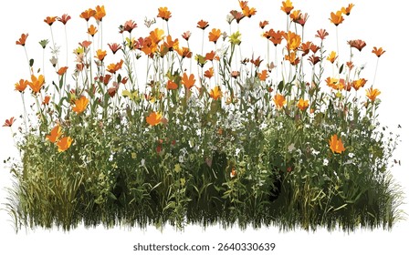 Meadow blooming flowers, dense row fields, nature vector cutout, vibrant summer, green fields, wildflower landscape, beautiful outdoor scene, agriculture background, spring meadow.
