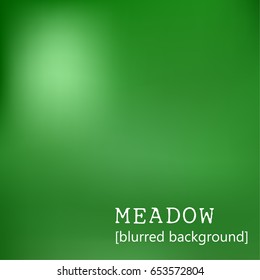 meadow blurry background. vector illustration