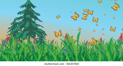 Meadow with butterflies