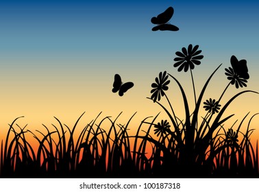 meadow with butterflies at sunset