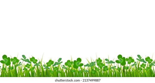 Meadow clover fresh green background 