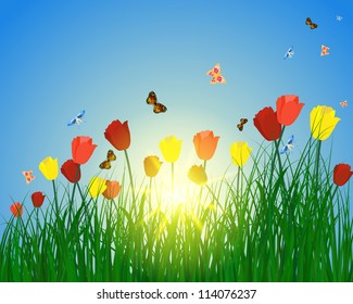 Meadow color background with butterfly and sun. All objects are separated. Vector illustration with transparency. Eps 10.