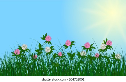 Meadow color background with sun. All objects are separated. Vector illustration with transparency. Eps 10.