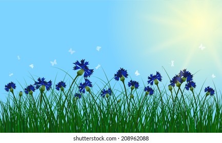 Meadow color background with sun. All objects are separated. Vector illustration with transparency. Eps 10.
