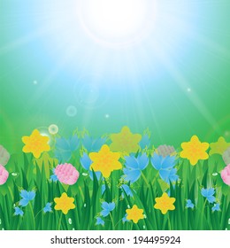 Meadow with colorful flowers and green grass on a background of blue sky and sun 