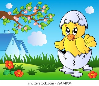 Meadow with cute chicken in egg - vector illustration.