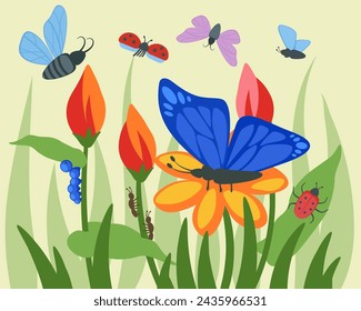 Meadow with different insects. Butterflies, bugs, caterpillar, ladybugs, ants. Vector illustration. Insect ecosystem concept