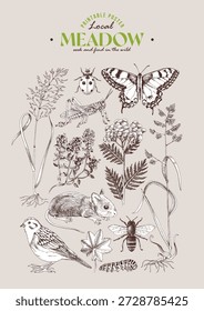 Póster de Vector dibujado a mano del ecosistema del prado
