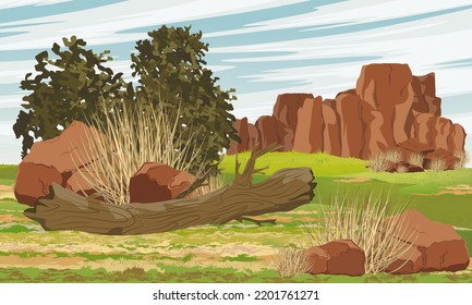 Meadow with fallen tree and stones. Red rocks in Australia. Valley in front of the mountains. Realistic vector landscape