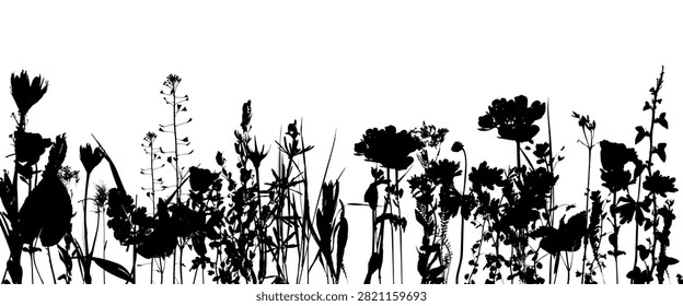 Meadow or field with herbs, wild flowers, grass and   cereals.  Isolated silhouette of plants. Vector horizontal border.