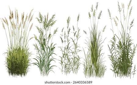 Meadow field vector cutout, green grass, transparent nature background, summer landscape, fresh meadow, outdoor grass, field shape, nature background, eco friendly design
