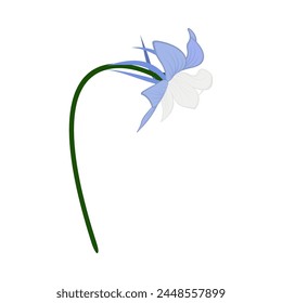 Meadow flower. Beautiful flower for making summer and spring meadow  designs. Vector illustration.