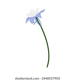 Meadow flower. Beautiful flower for making summer and spring meadow  designs. Vector illustration.
