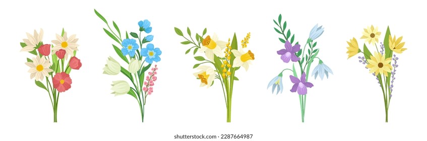 Meadow Flower Blossom with Stems Bouquet Vector Set