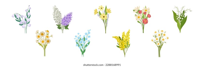 Flor de pradera flor con Stems Bouquet Vector Set