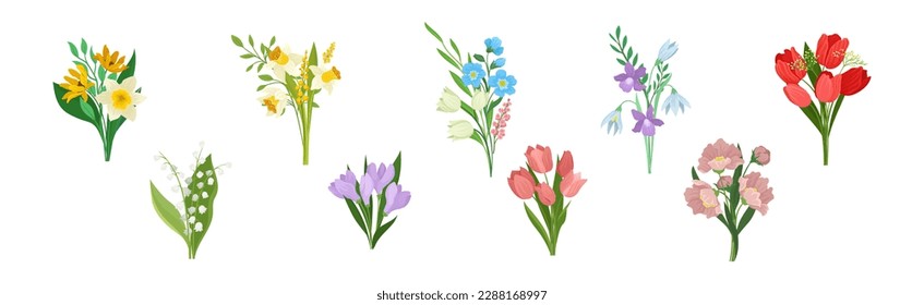 Meadow Flower Blossom with Stems Bouquet Vector Set