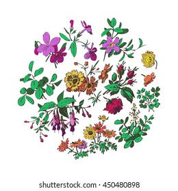 Meadow flower, leaf set round vector isolated on white