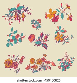 Meadow flower and leaf set vector isolated on beige