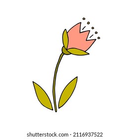 Meadow flower. Tulip. Bell. Flower. Plant. Wild flower. Ethnoscience. Doodle. Vector. Drawn by hand. Sketch.