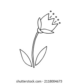 Meadow flower. Tulip. Bell. Flower. Plant. Wild flower. Ethnoscience. Doodle. Vector. Drawn by hand. Sketch. Silhouette. Black and white. Contour. Coloring