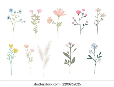 meadow flower vector art design hand drawn