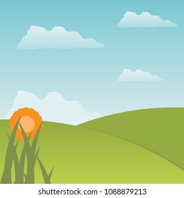 Meadow and flower vector illustration