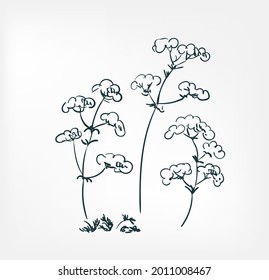 meadow flower vector illustration japanese chinese ink line sketch