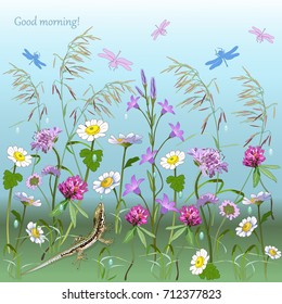 Meadow with flowers after rain. Lizard and dragonflies. Chamomiles, bells, chicory, clover and herbs with dew drops. Vector 10.