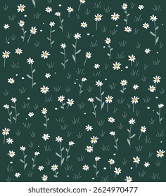 Meadow flowers background. Grass with daisy or chamomile flowers. Summer picnic concept