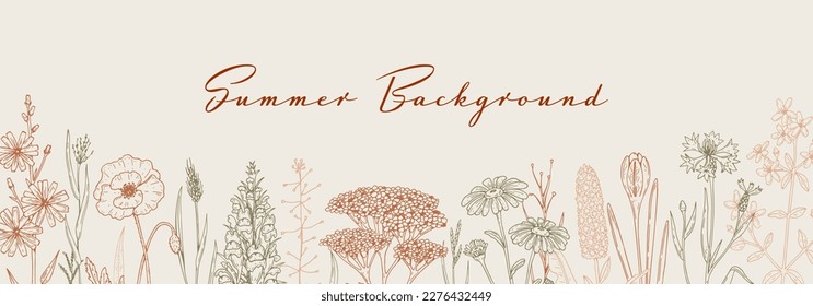 Meadow flowers background. Hand drawn field wildflowers border. Vector illustration in sketch style. Aesthetic botany horizontal design