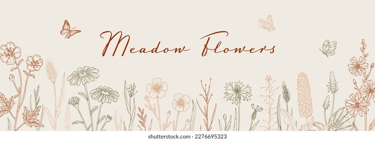 Meadow flowers background. Hand drawn field wildflowers border. Vector illustration in sketch style. Aesthetic botany horizontal design