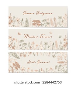 Meadow flowers background. Hand drawn field wildflowers border. Vector illustration in sketch style. Aesthetic botany horizontal design