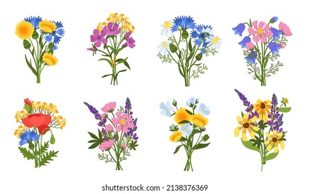 Meadow flowers bouquets. Beautiful blossom plants, cute compositions, colorful poppies, dandelions and sunflowers, spring summer botany herbal bundle for decoration, vector set