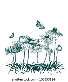 meadow flowers engraved grass vector illustration