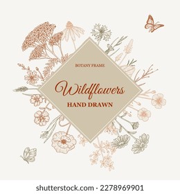 Meadow flowers frame. Hand drawn field wildflowers border. Vector illustration in sketch style. Aesthetic botany design for logo and packaging