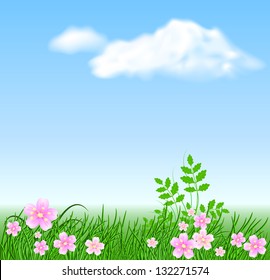 Meadow flowers, grass on the sky background and clouds