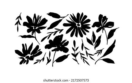 Meadow flowers hand drawn vector set. Ink drawing wild flowers, brush painted herbs. Floral drawings collection. Black and white artistic botanical elements. Chrysanthemums or chamomiles