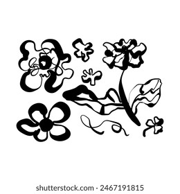 Conjunto de Vector dibujado a mano. Doodle flores silvestres, audaces hierbas pintadas. Dibujos florales colección. Elementos botánicos artísticos en blanco y negro. 