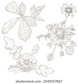 Prado de flores y hojas de impresión de contorno aislado en blanco. Ilustración vectorial