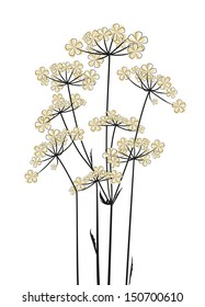 Meadow flowers on a white background