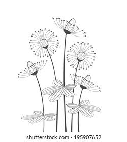 meadow flowers on a white background