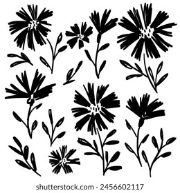 Meadow flowers set. Ink drawing floral elements, monochrome artistic botanical illustration. Hand drawn vector illustration