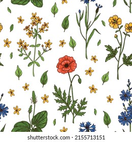 Meadow flowers summer seamless pattern. Colorful hand drawn vector illustration. Botany design