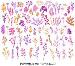 Meadow flowers, tree branches, algae water plants, corals isolated on white. Seaweeds polyps silhouettes set. Branches berries twigs flowers. Seaweeds coral reef underwater plans vector collection.