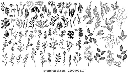 Meadow flowers, tree branches, algae water plants, corals isolated on white. Seaweeds polyps silhouettes set. Branches berries twigs flowers. Seaweeds coral reef underwater plans vector collection.