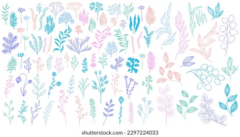 Meadow flowers, tree branches, algae water plants, corals isolated on white. Seaweeds polyps silhouettes set. Branches berries twigs flowers. Seaweeds coral reef underwater plans vector collection.