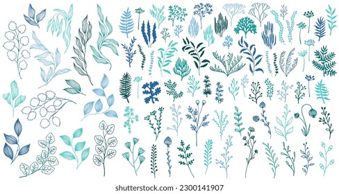 Meadow flowers, tree branches, algae water plants, corals isolated on white. Seaweeds polyps silhouettes set. Branches berries twigs flowers. Seaweeds coral reef underwater plans vector teal set.