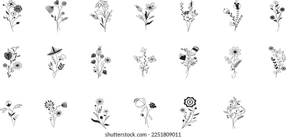 Meadow flowers and twigs, tree branches, summer grass herbs, vector set. Hand drawn doodle flowers, herbs, twigs botany collection. Dogwood, willow, clover, berries, olive branch, grass plants